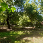 1-acre-land-in-malindi-003-592x444-2