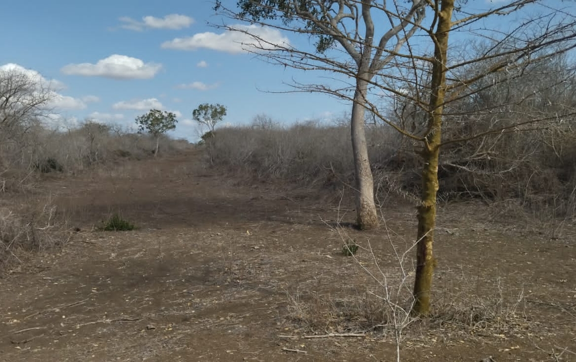 30 Acres for sale in Adu for sale