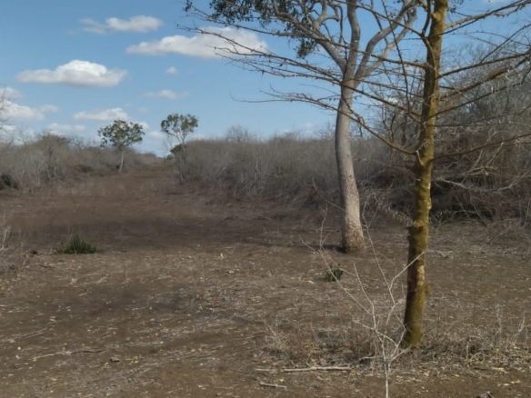 30 Acres for sale in Adu for sale