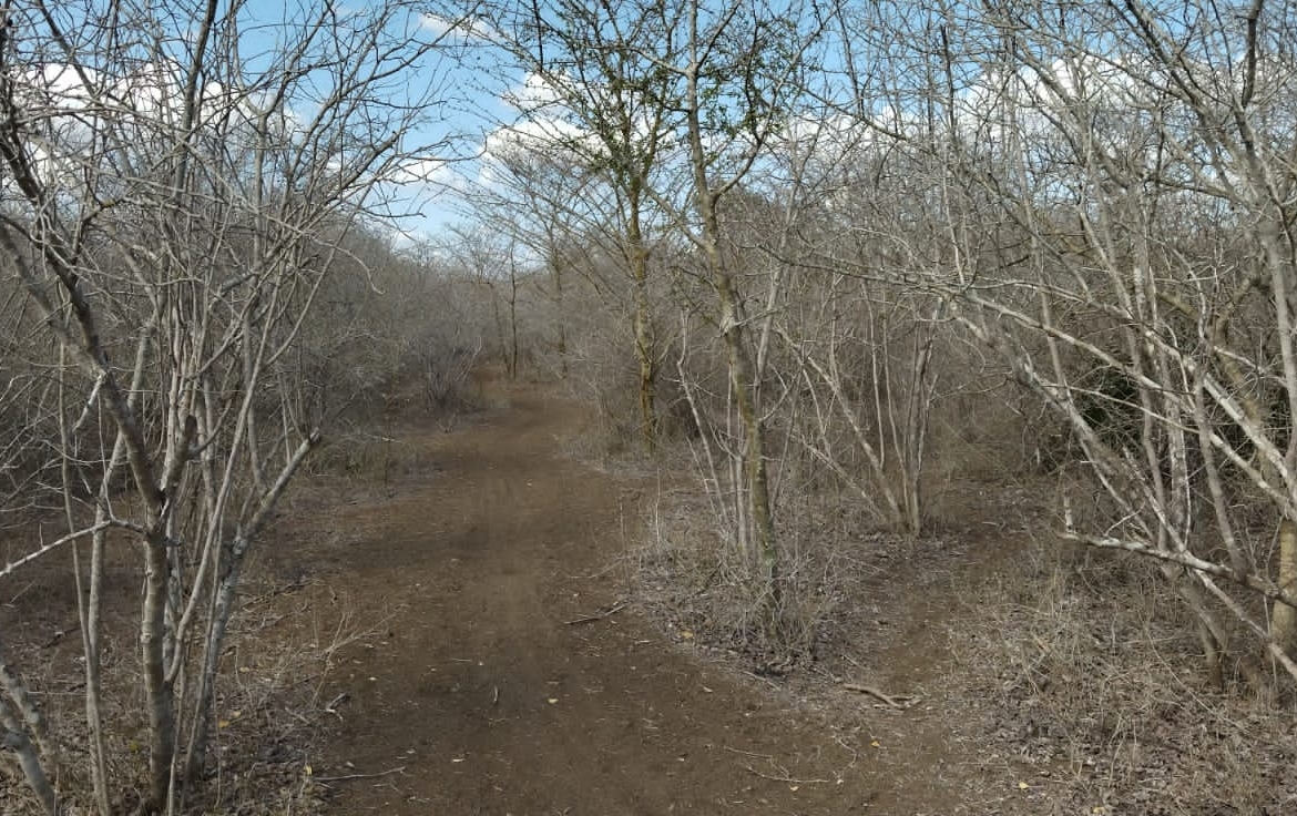 30 Acres for sale in Adu for sale