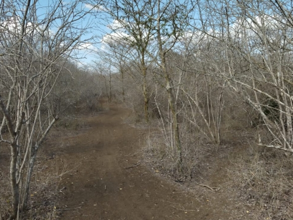 30 Acres for sale in Adu for sale