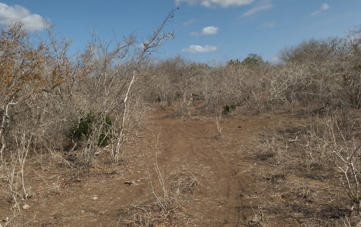 30 Acres for sale in Adu for sale