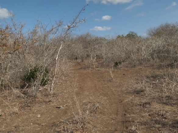 30 Acres for sale in Adu for sale