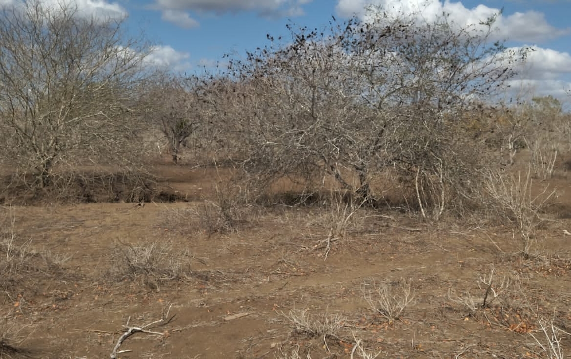 30 Acres for sale in Adu for sale