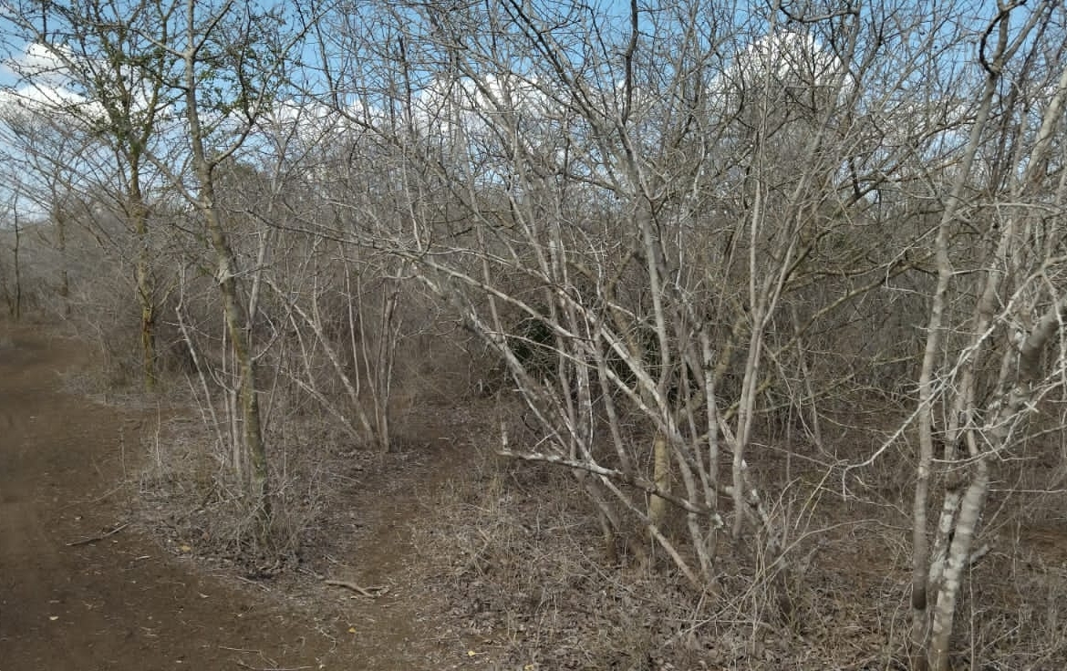 30 Acres for sale in Adu for sale