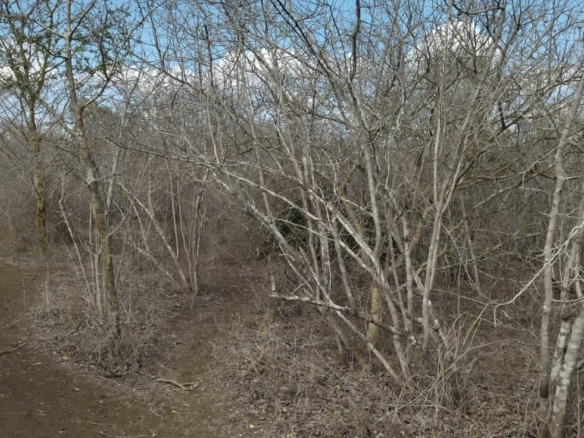 30 Acres for sale in Adu for sale