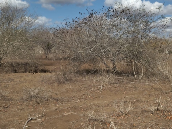 30 Acres for sale in Adu for sale