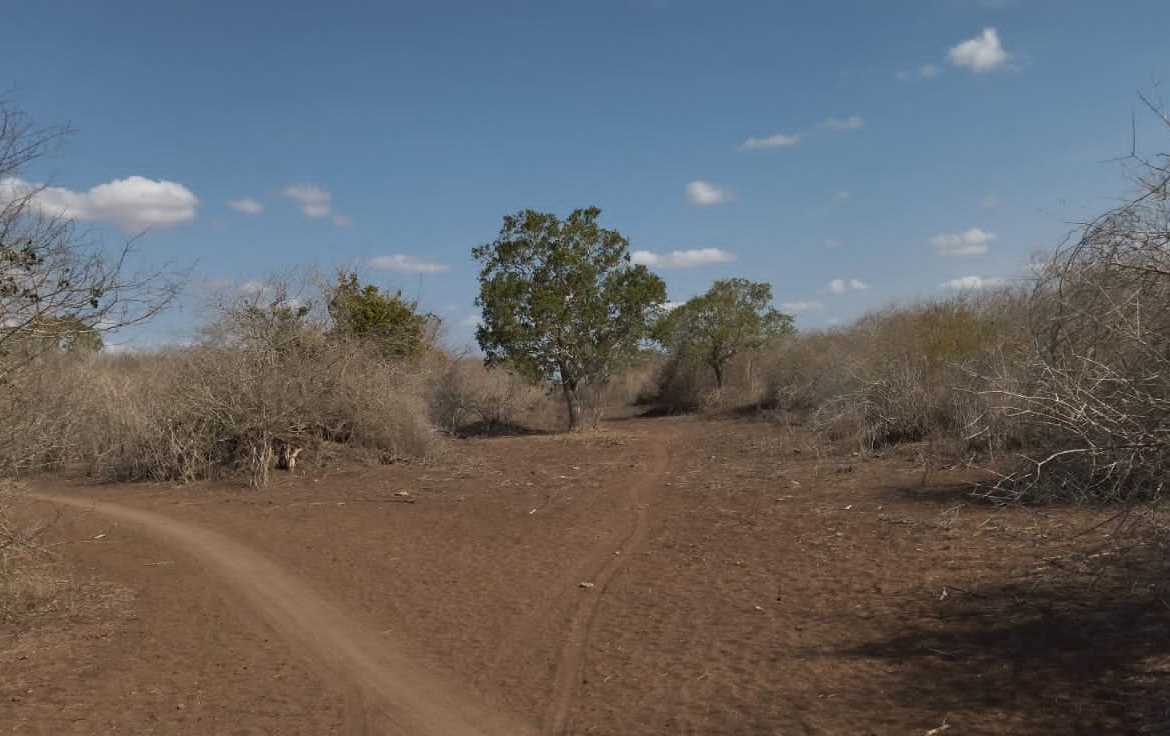 30 Acres for sale in Adu for sale