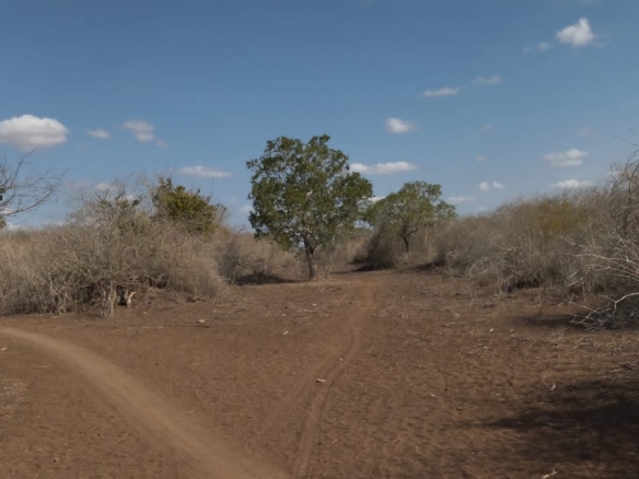 30 Acres for sale in Adu for sale