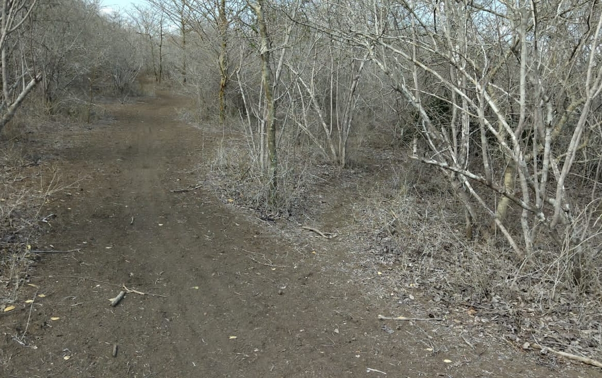 30 Acres for sale in Adu for sale