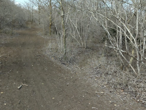 30 Acres for sale in Adu for sale