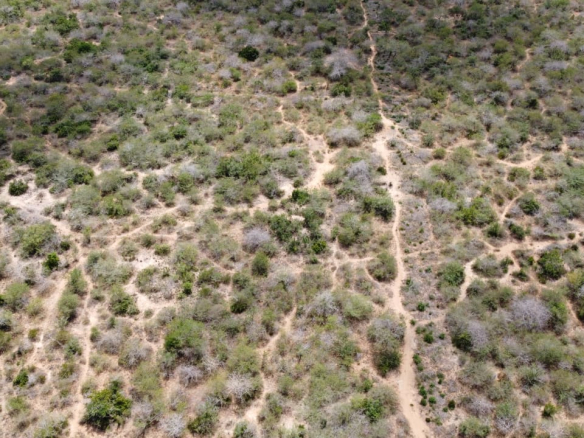 mkaazi-7-acres-chakama- for sale