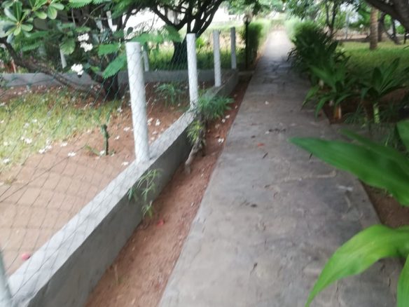 karibuni-villas-for-sale- 1 br chalet