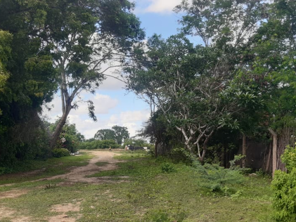 2-acres-for-sale-in-kwa-ndomo