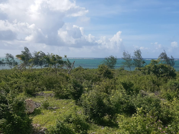 2-acres-1-bay-watamu