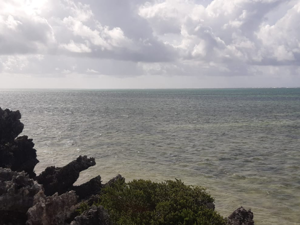 2-acres-1-bay-watamu-coral-beach