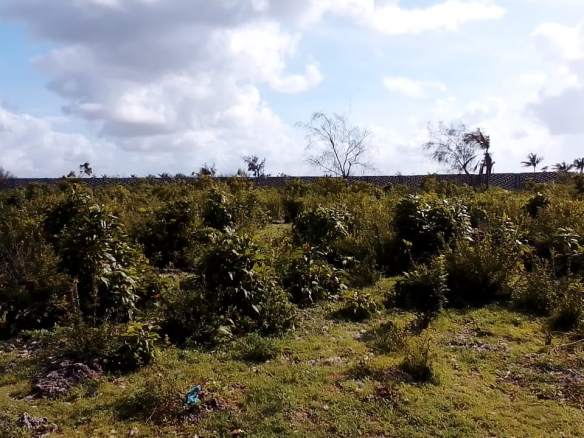 2-acres-1-bay-watamu-views