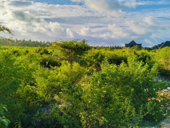 Prime, 50×100 Acre Plots For Sale In Gede