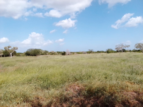 mkaazi-50by100-plots-chakama-2