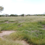 mkaazi-50by100-plots-chakama-4