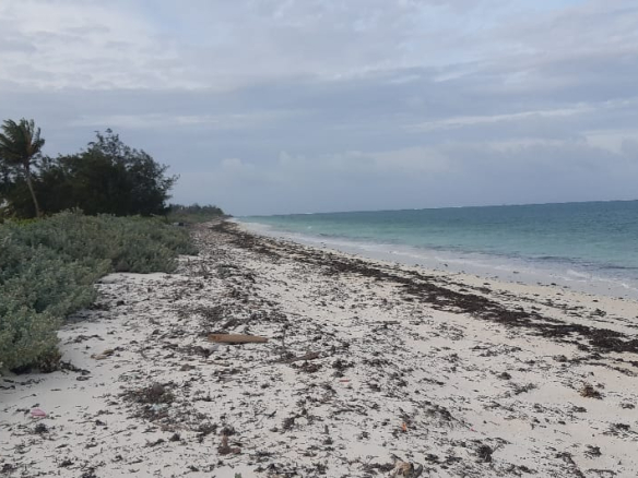 0-5-acre-plots-for-sale-in-mayungu