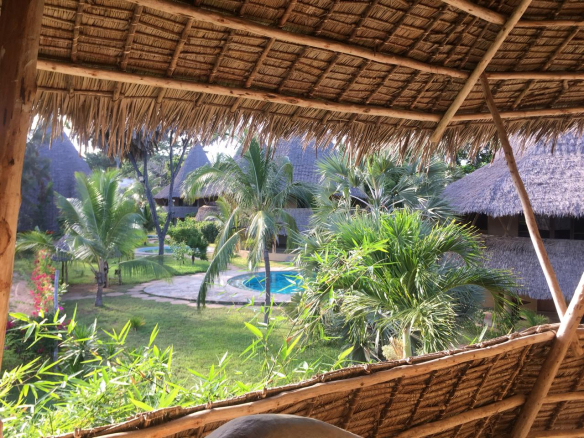 895530de-ed4c-4cb9-83ec-c7a023b68800