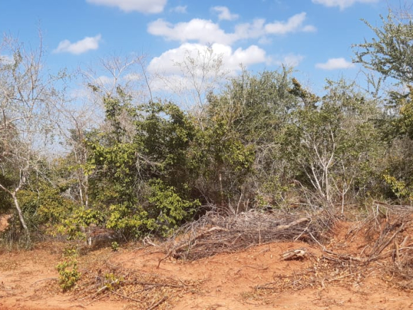 dakacha-290-acres-for-sale-2-2