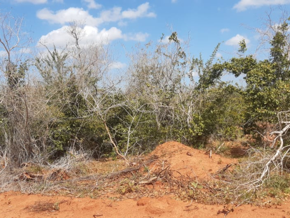 dakacha-290-acres-for-sale-3