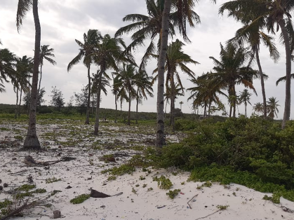 half-acres-for-sale-in-watamu