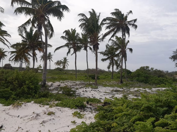 half-acres-for-sale-in-watamu-near-st-thomas