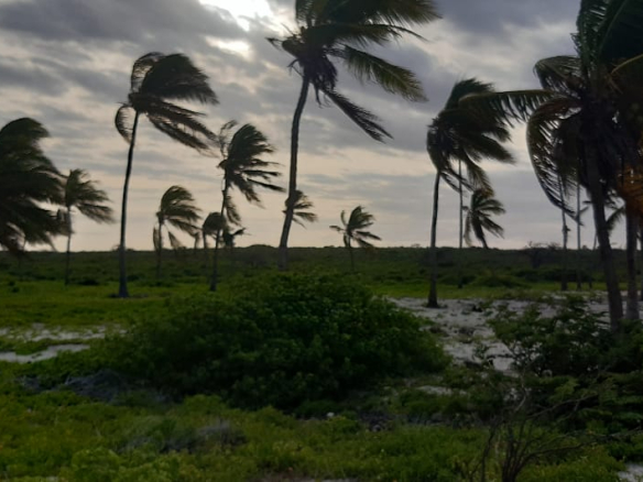 mayungu-half-acres-for-sale-beachfront
