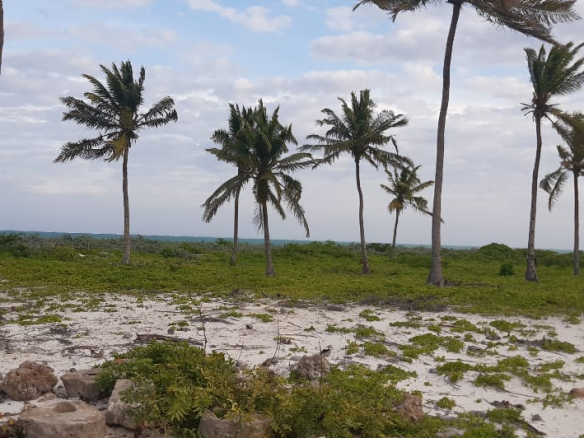 st-thomas-mauyungu-half-acre