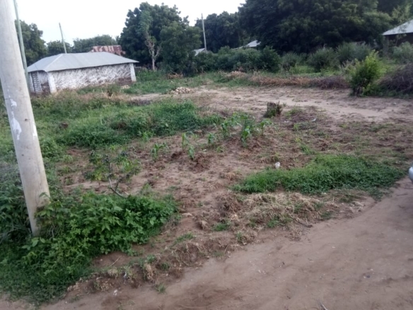 Half Acre for salein Kibokoni Malindi on Tarmac