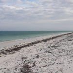 sandy-beach-half-acres-for-sale-in-watamu