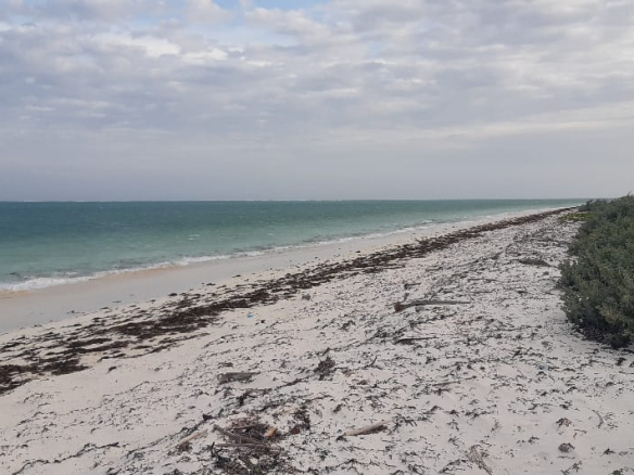 sandy-beach-half-acres-for-sale-in-watamu