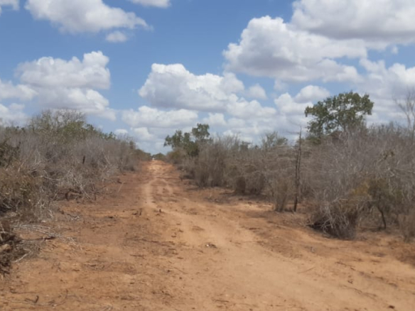 1-acre-for-sale-in-chakama