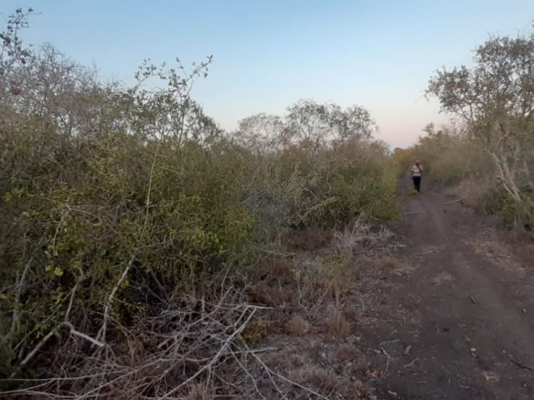 15-acre-farm-for-sale-in-chakama