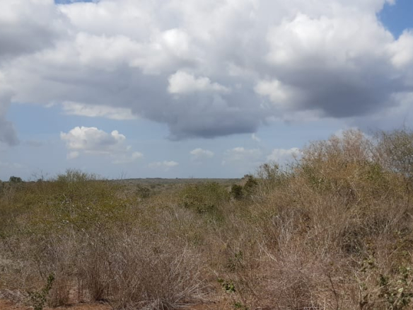 15-acres-farm-for-sale-in-chakama