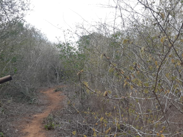 15-acres-for-sale-in-chakama