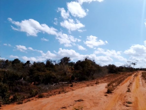 290-acres-592x444-2697774