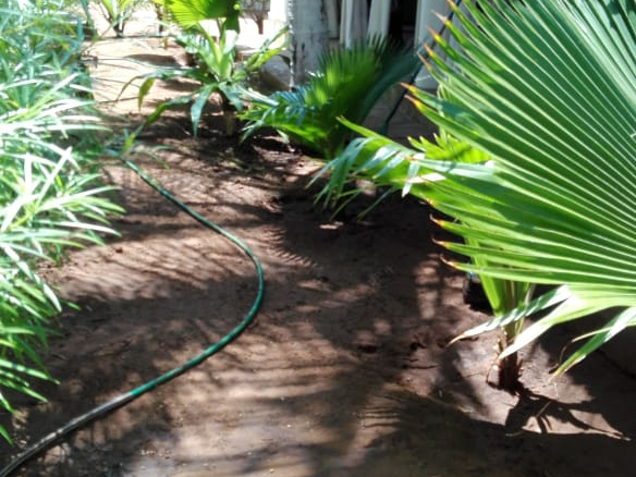 2br-for-sale-mambrui-villas-greenery