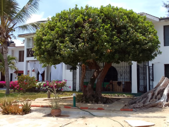 2br-apartment-for-sale-silversands-road-22