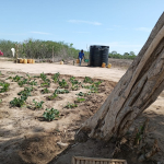 6-7-acre-farm-for-sale-in-marereni-water-on-site