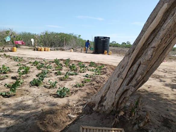 6-7-acre-farm-for-sale-in-marereni-water-on-site