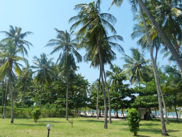 Studio in Diani for aibnb