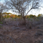 baricho-69-acres-for-sale