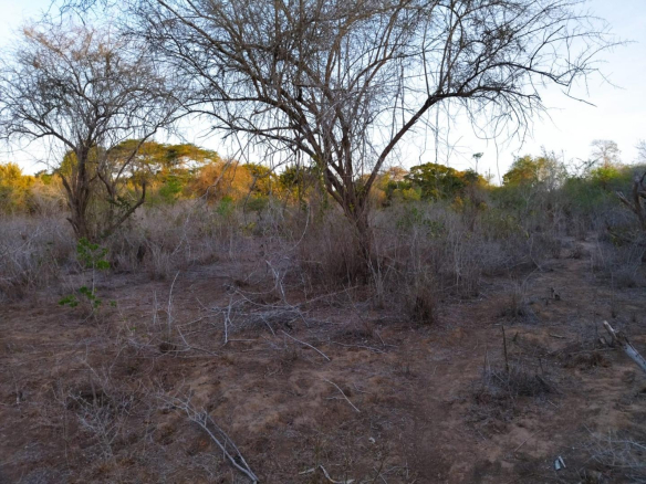 baricho-69-acres-for-sale