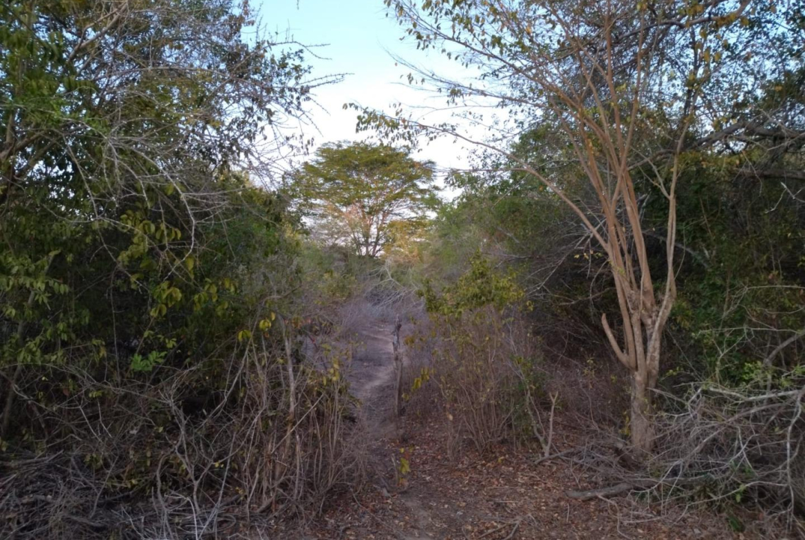 baricho-69-land-for-sale