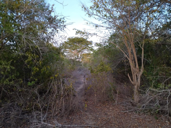 baricho-69-land-for-sale