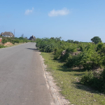 casuarina-plots-on-tarmac-2